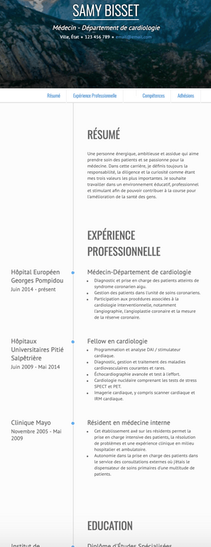 Exemple et modèle de CV null