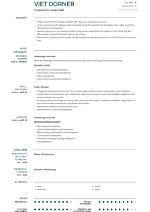 Technology Consultant Resume Sample and Template