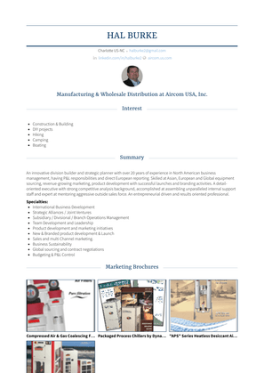 Managing Director, Vp Sales & Marketing Resume Sample and Template