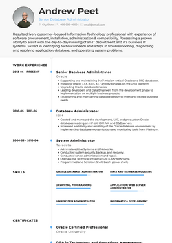 Elegant Resume Template and Example - Air by VisualCV	