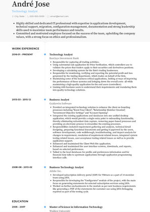 Technology Analyst Resume Sample and Template