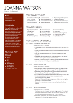 Finance Professional Resume Sample and Template