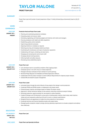 Project Team Lead Resume Sample and Template