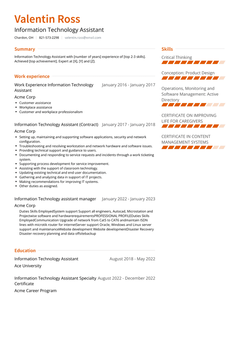 Information Technology Assistant Resume Sample and Template