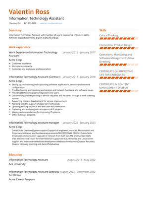 Information Technology Assistant Resume Sample and Template