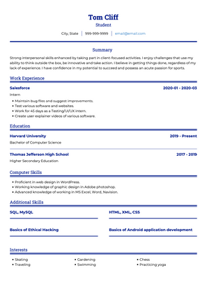 Student CV Example and Template