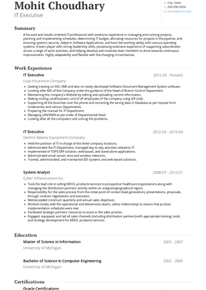 IT Executive Resume Sample and Template