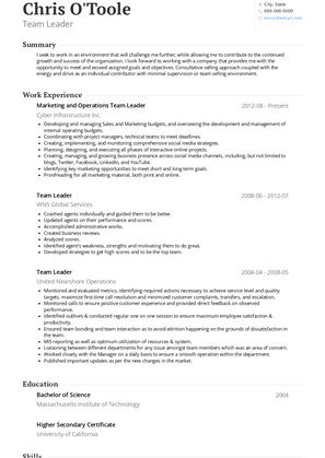 Team Leader Resume Sample and Template