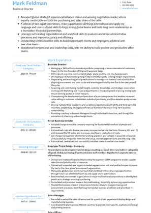 Business Director Resume Sample and Template