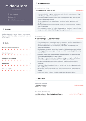 Job Developer Resume Sample and Template