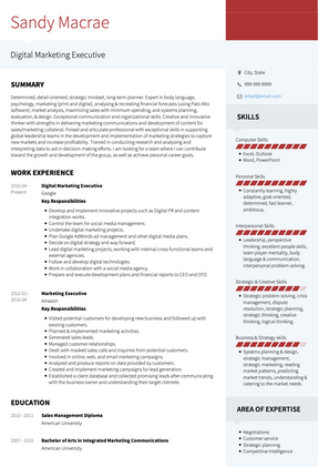 Digital Marketing Executive CV Example and Template