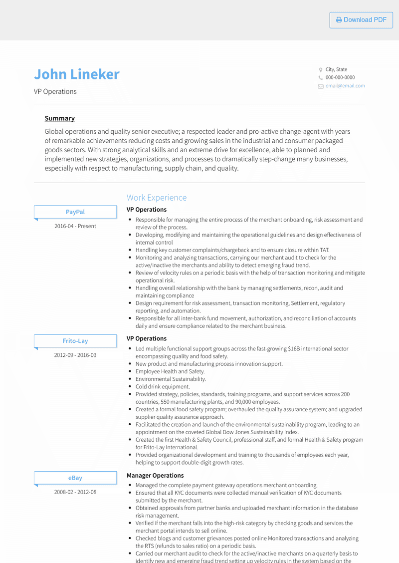 VP Operations Resume Sample and Template