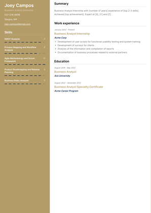 Business Analyst Internship Resume Sample and Template