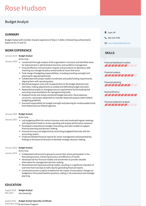 Budget Analyst Resume Sample and Template