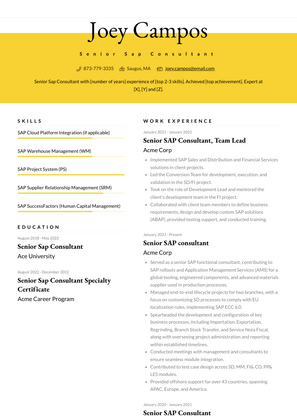 Senior Sap Consultant Resume Sample and Template