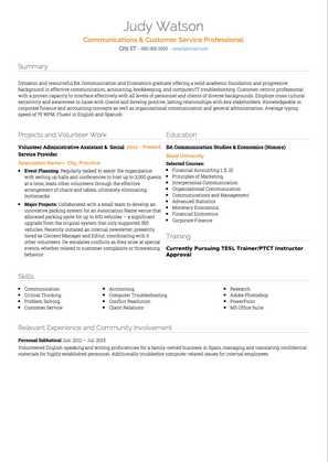Customer Service Professional CV Example and Template