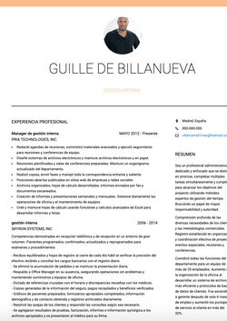 Gestión interna Resume Sample and Template