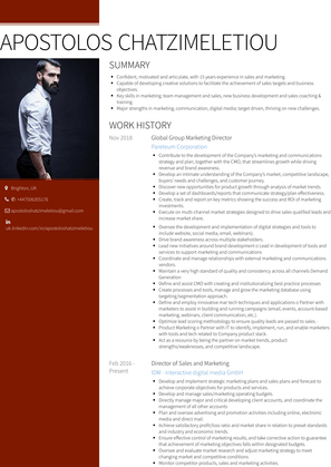 Executive Director Of Sales & Business Development Resume Sample and Template