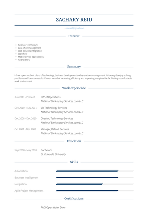Svp Of Operations Resume Sample and Template