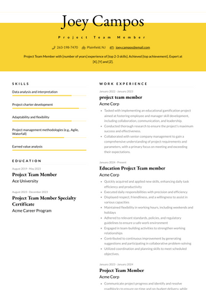 Project Team Member Resume Sample and Template