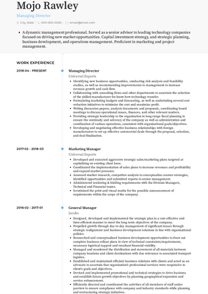 Managing Director Resume Sample and Template