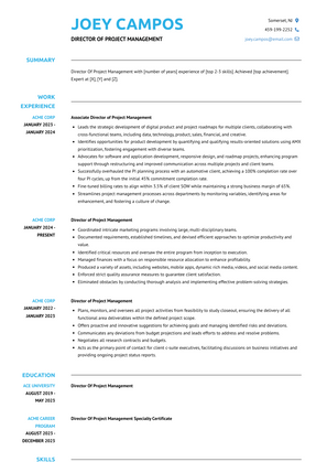 Director Of Project Management Resume Sample and Template