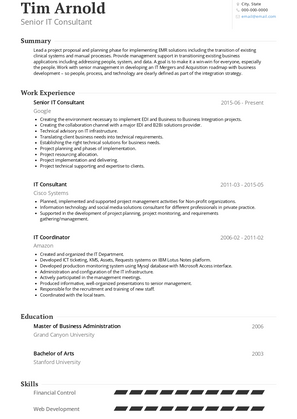 Senior IT Consultant Resume Sample and Template