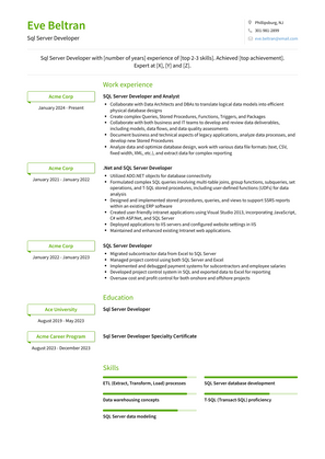 Sql Server Developer Resume Sample and Template