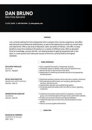Data Entry Specialist CV Example and Template