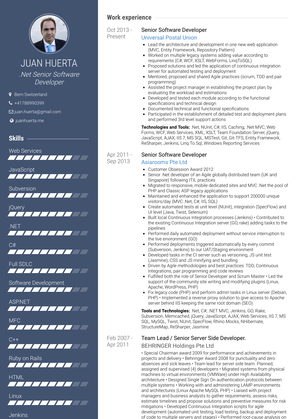 Senior Software Developer Resume Sample and Template