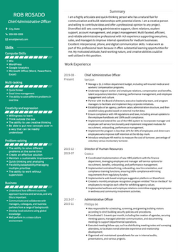 Administrative Officer Resume Sample and Template