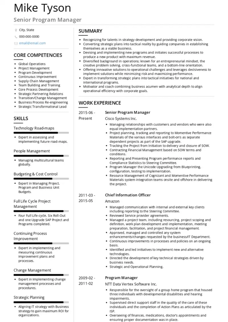 technical program manager resume