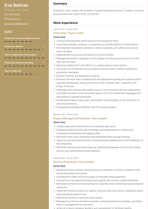 Production Team Leader Resume Sample and Template