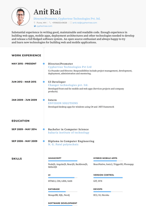 Director/Promoter Resume Sample and Template