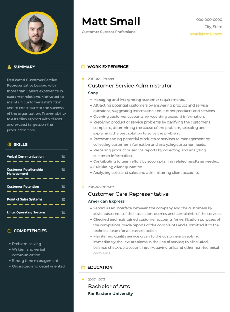 Skills Based Resume Template Google Docs