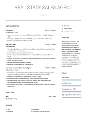 real estate agent resume example