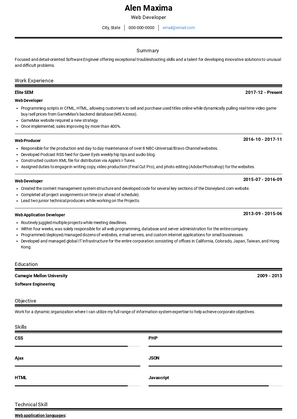 Web Developer Resume Sample and Template