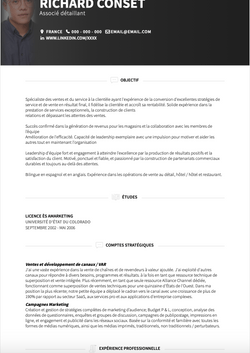 Vente au détail Resume Sample and Template