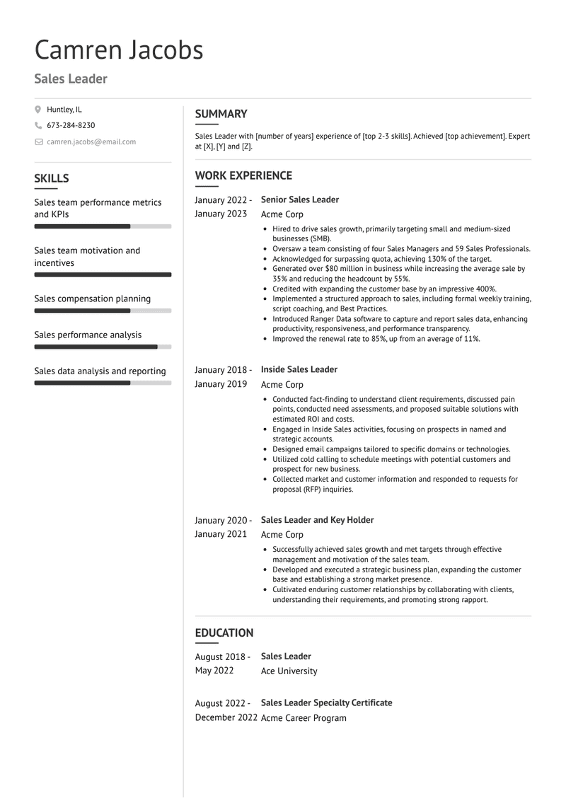 Sales Leader Resume Sample and Template