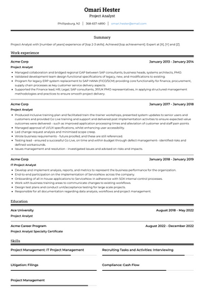 Project Analyst Resume Sample and Template