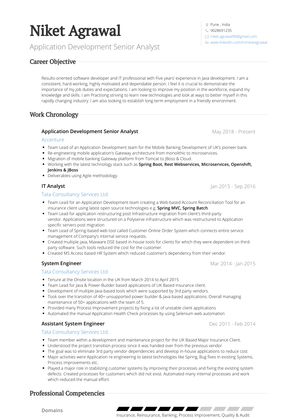 It Analyst Resume Sample and Template