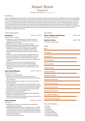 Entrepreneur CV Example and Template