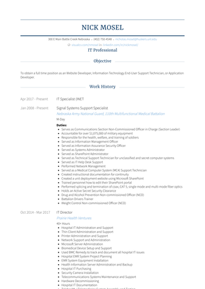 Information Technology Specialist Resume Sample and Template