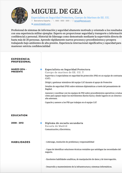 Especialista en Seguridad Protectora Resume Sample and Template