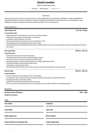 Senior Account Executive Resume Sample and Template