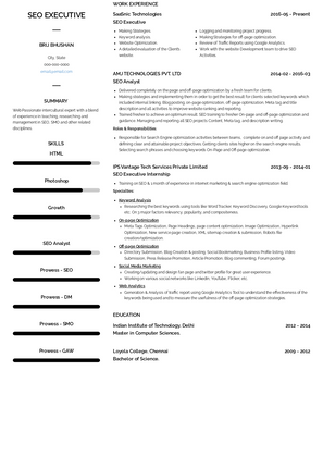 SEO Executive Resume Sample and Template