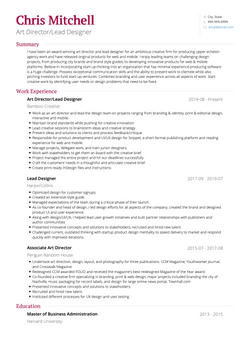 Art Director Resume Sample and Template