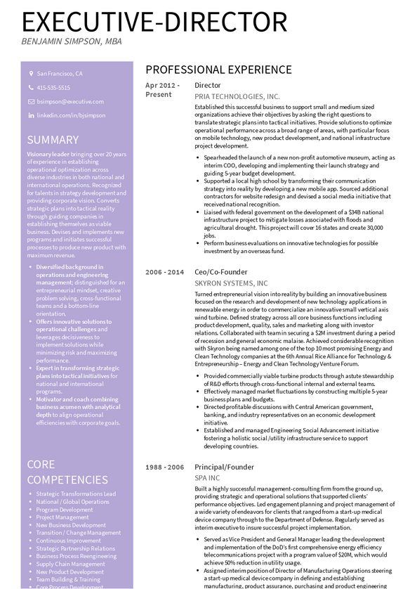 Executive Director Resume Examples 3 Samples Visualcv