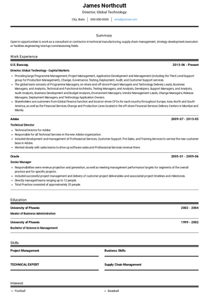 Director, Global Technology Resume Sample and Template
