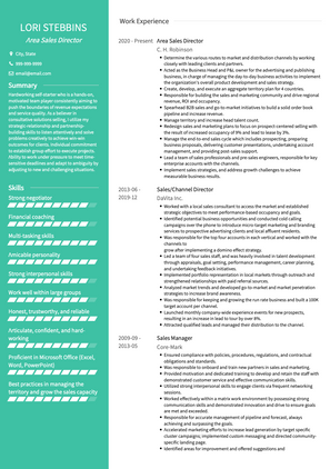 Area Sales Director CV Example and Template
